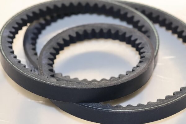 Single-sided toothed belt for motorcycles